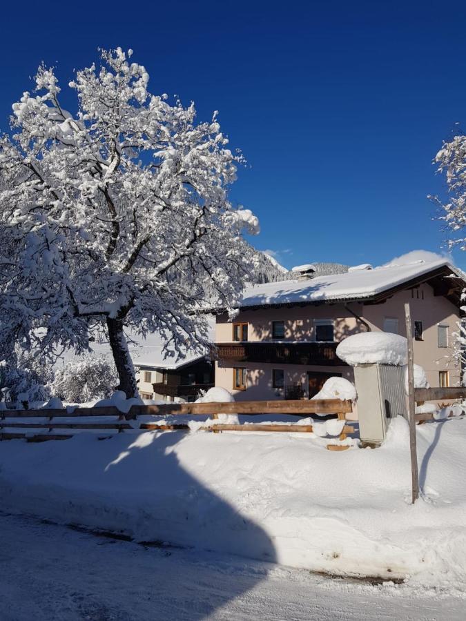 Landhaus Theresia Санкт-Мартин-ам-Тенненгебирге Экстерьер фото